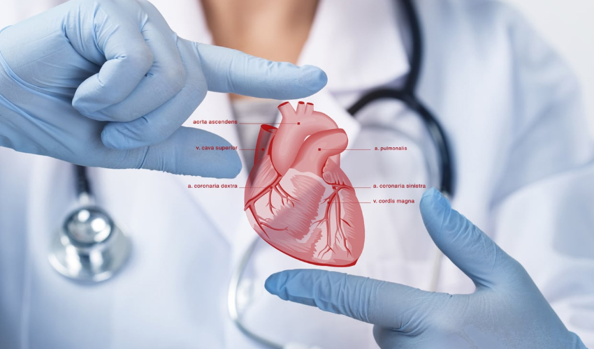 Cardiology