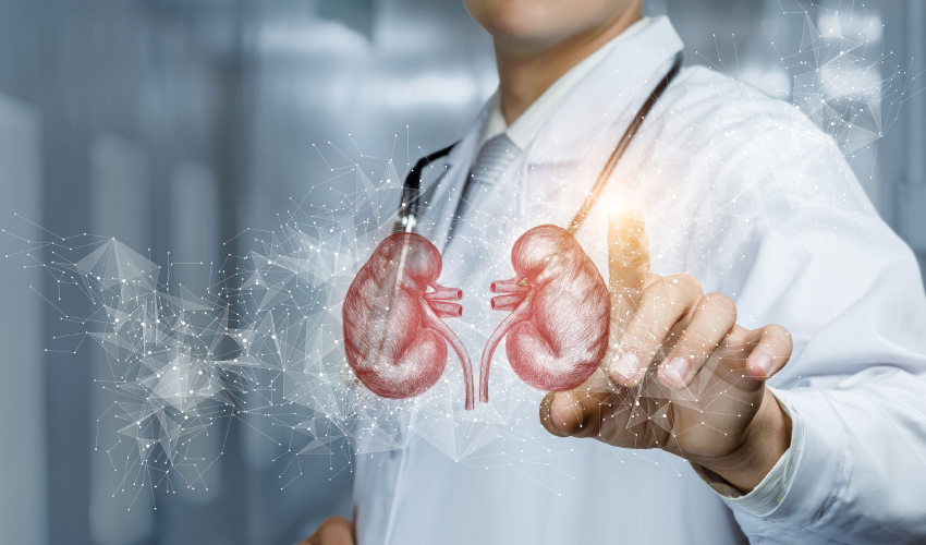 nephrology